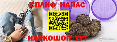 стаф Кимры