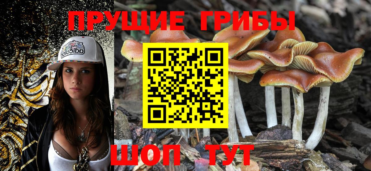 Галлюциногенные грибы GOLDEN TEACHER  Галлюциногенные грибы прущие грибы  Вход с VPN  что такое   Кинель 
