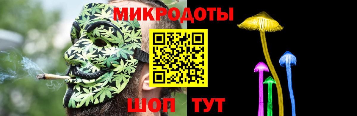 Галлюциногенные грибы Psilocybe Кинель